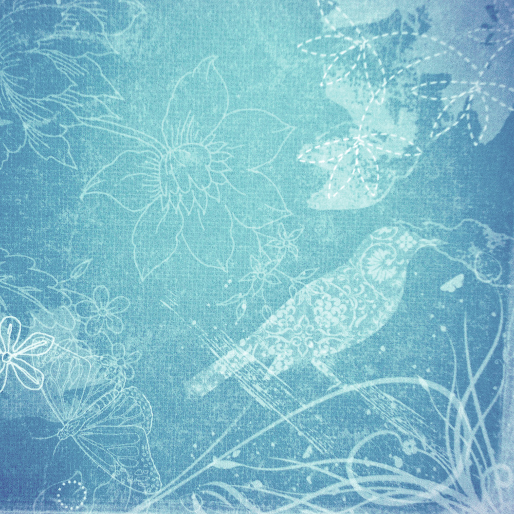 Meet your Posher, Featherboo